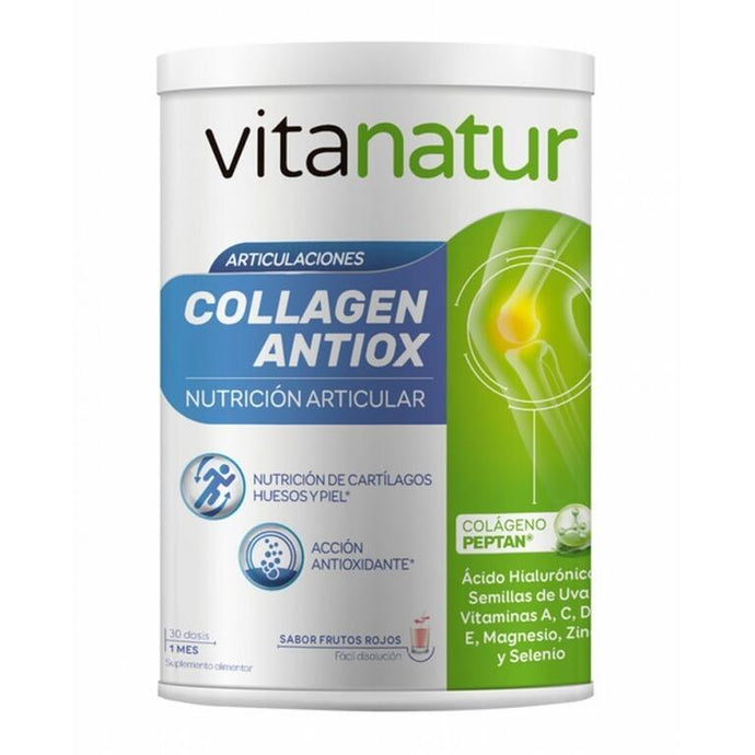 Colágeno Antiox 360g – Vitanatur
