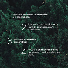 Cargar imagen en el visor de la galería, Grounding Mat Gudslip – Alfombrilla de Conexión a Tierra para Bienestar y Recuperación